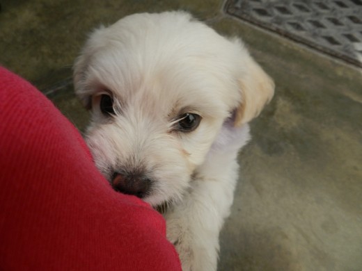 ojitos de uva... tan linda mi bebe
